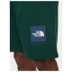 The North Face Ανδρικό σορτς Box NSE Regular Shorts